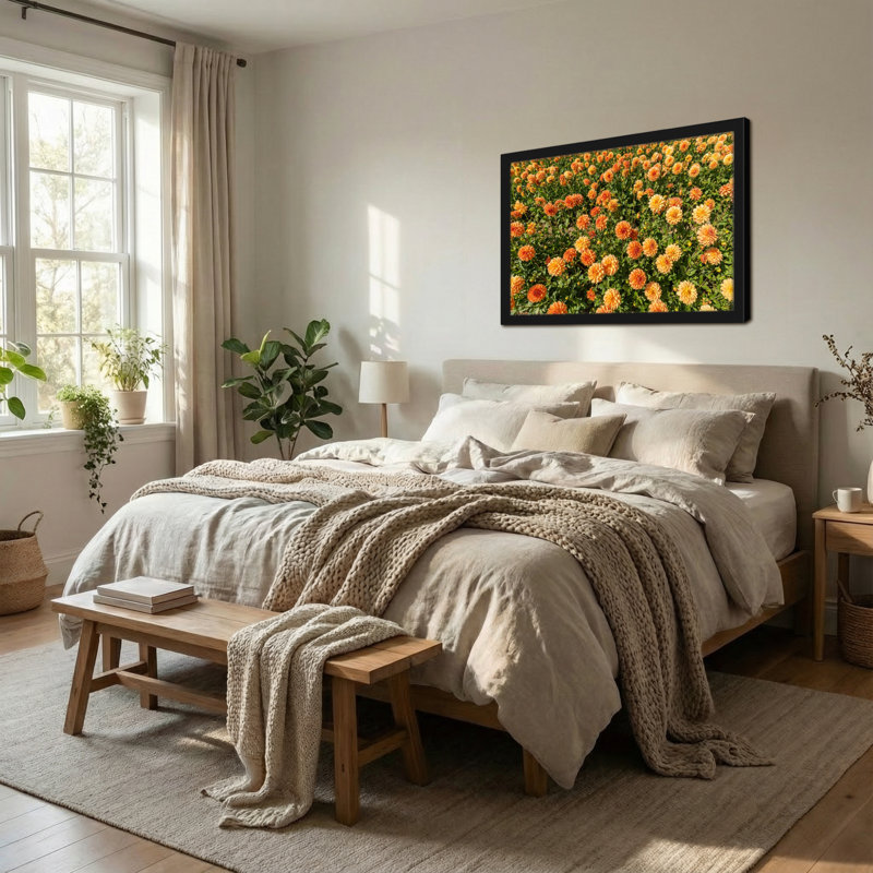 Plantes et fleurs Fleurs orange vives en pleine floraison, 24” H x 36” W