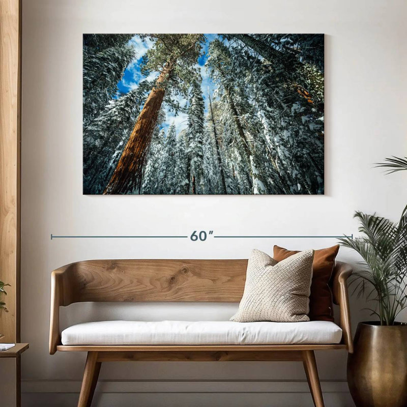 Harnek Snowy Sequoia Trees, 32" H x 48" W