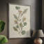 Pressed Arrangement III, reproduction encadrée - bois massif 49774-1157049326