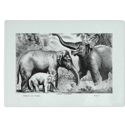 Tempered Glass Asian Elephants Chopping Board
