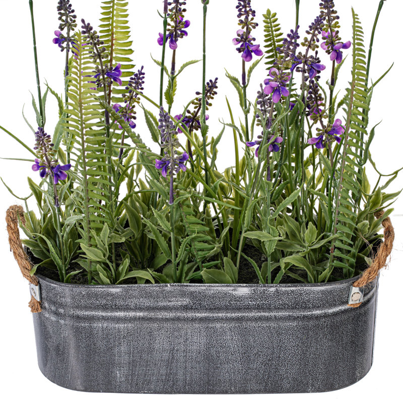 Arrangement de fleurs mélangées en pot