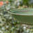 Bobra Iron Birdbath-2108077404