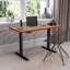Bureau debout électrique à hauteur ajustable avec plateau de table l 48 po x P 24 po-2092915270