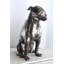 Sculpture de jardin bouledogue anglais en aluminium taille réelle Bold 22 po x 15 po x H 29 po