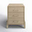 Pelaghia End Table With Storage