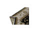 Dharma Oriental Area Rug