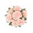 Blush Peach