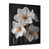 Black Single Picture Framed