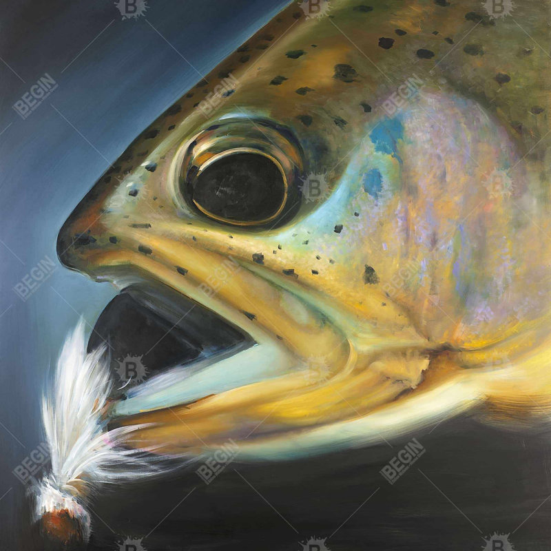 «Truite dorée avec mouche de pêche à la mouche»
