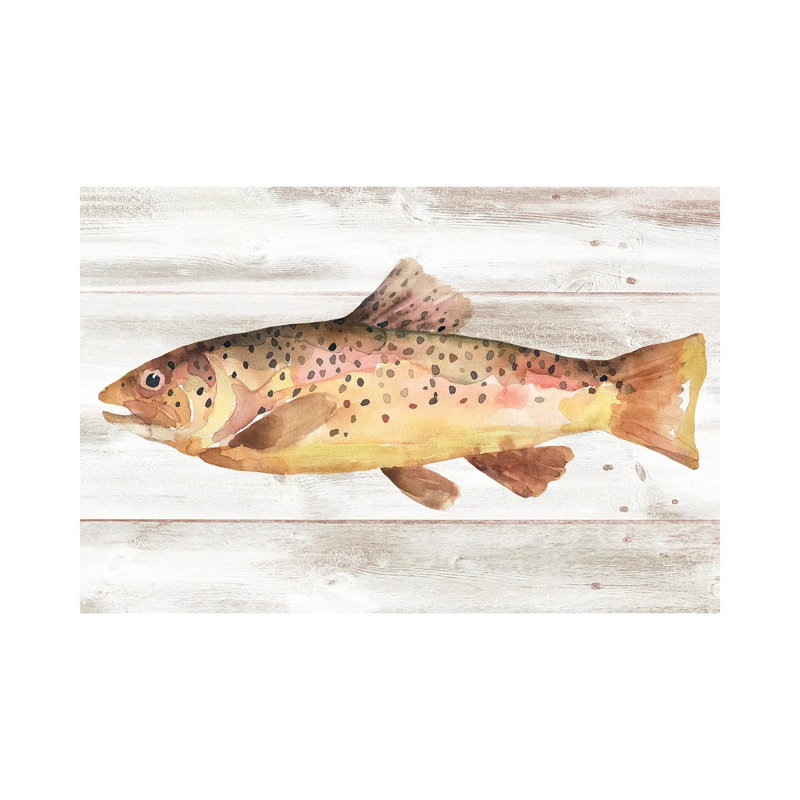 Spotted Trout I by Annie Warren - Wrapped Canvas Print, 20.32 cm H x 30.48 cm W