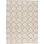 Hand-Knotted High-Quality Beige Area Rug