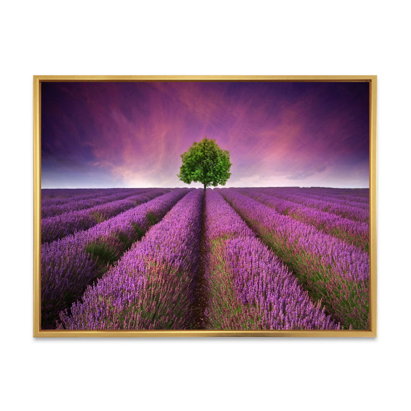 «Stunning Lavender Field Summer Sunset With Tree», reproduction sur toile avec cadre flottant, H 12 po x l 20 po x p 1 po