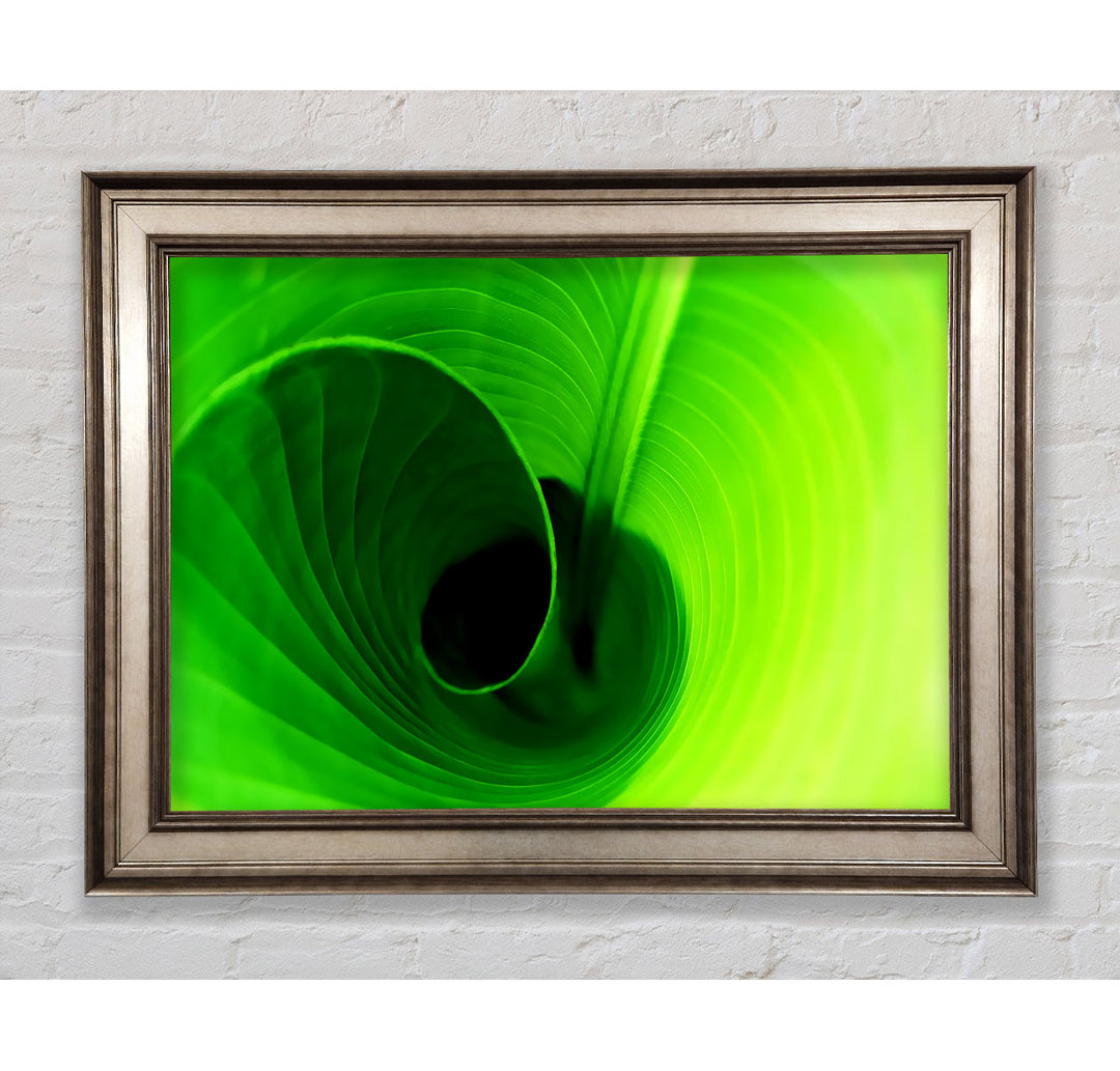 Twist of a Green Leaf - Bilderrahmen Kunstdrucke