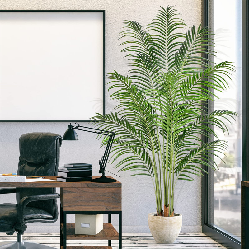 182.88cm Palm Plant