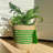3 Piece Green Striped Wicker Tassel Baskets