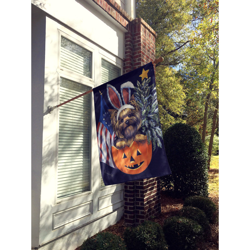 Drapeau de maison Hvidovre Sheltie Halloween en polyester à 2 faces 3 x 2 pi, Yorkshire terrier toutes saisons