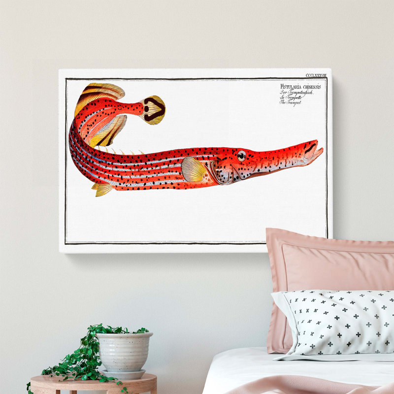 Trumpet Fish by M.E. Bloch - Wrapped Canvas Painting, 40cm H x 60cm W x 3cm D
