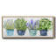 Collection Fresh Herb - toile encadrée