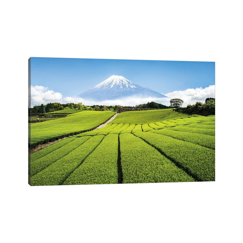 Green Tea Plantation And Mount Fuji by Jan Becke - Wrapped Canvas Gallery-Wrapped Canvas Giclée, 66.04 cm H x 45.72 cm W