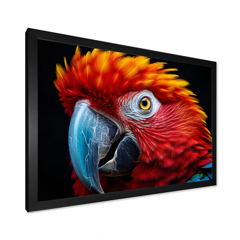 Perroquet rouge perroquet coloré sur toile, Cadre simple noir, H 34 po x l 44 po x P 1,5 po