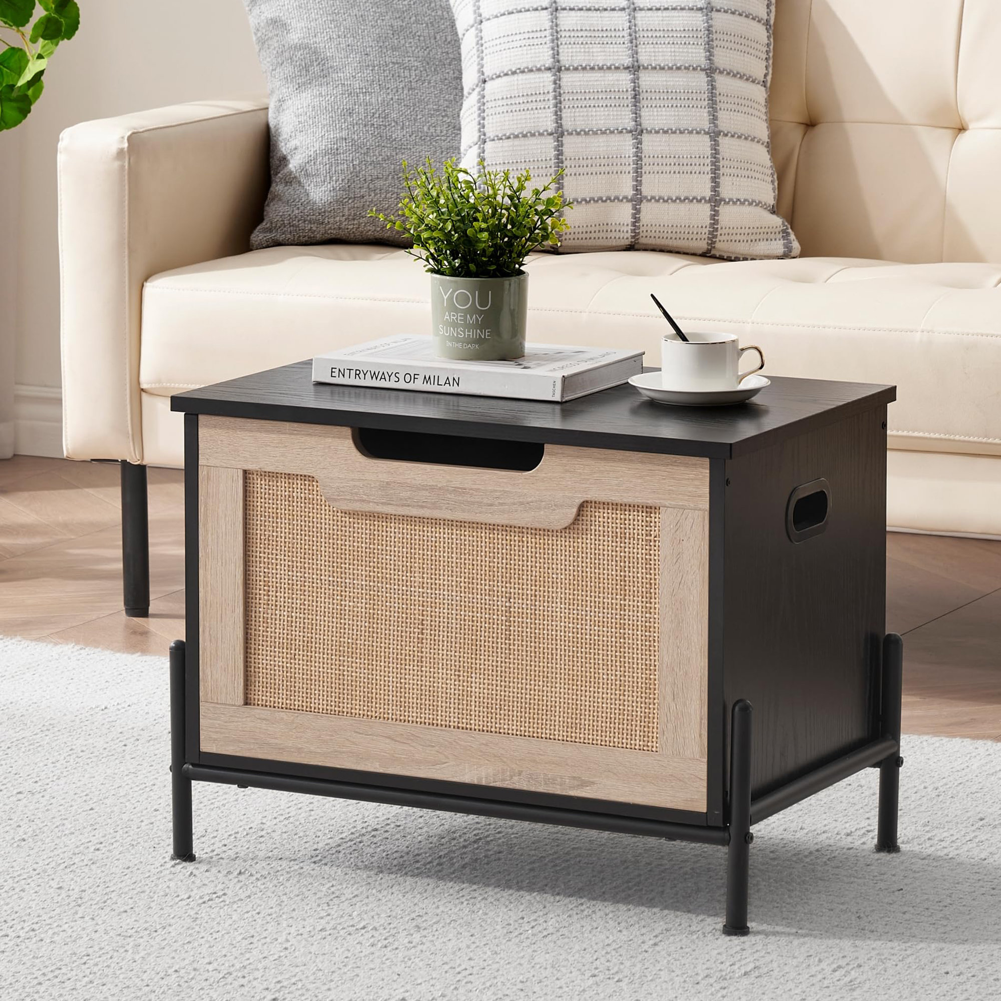 Latitude Run® Storage Chest | Wayfair