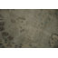 Tapis opulent Tranquility Anatolian 6 x 9 avec accents floraux