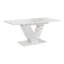 160 cm Extendable Dining Table-1081164636