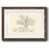 Noyer sélectionné