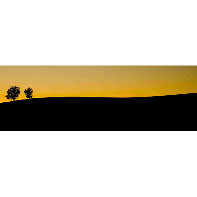 Two Trees At Sunset by Don Schwartz - Wrapped Canvas Panoramic Print, 25 cm H x 76 cm W
