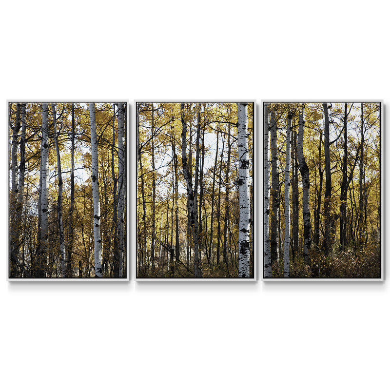 Sunny Grove - Toile encadrée multi-pièces, H 36 po x l 75 po x P 2 po, Blanc