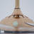 Kailie 42'' Ceiling Fan with LED Lights