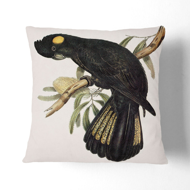 Square Throw Cushion, Black, 40cm H x 40cm W x 15cm D