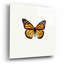 «Yellow Butterfly 1» par Photoinc Studio, art mural en verre acrylique-704348477