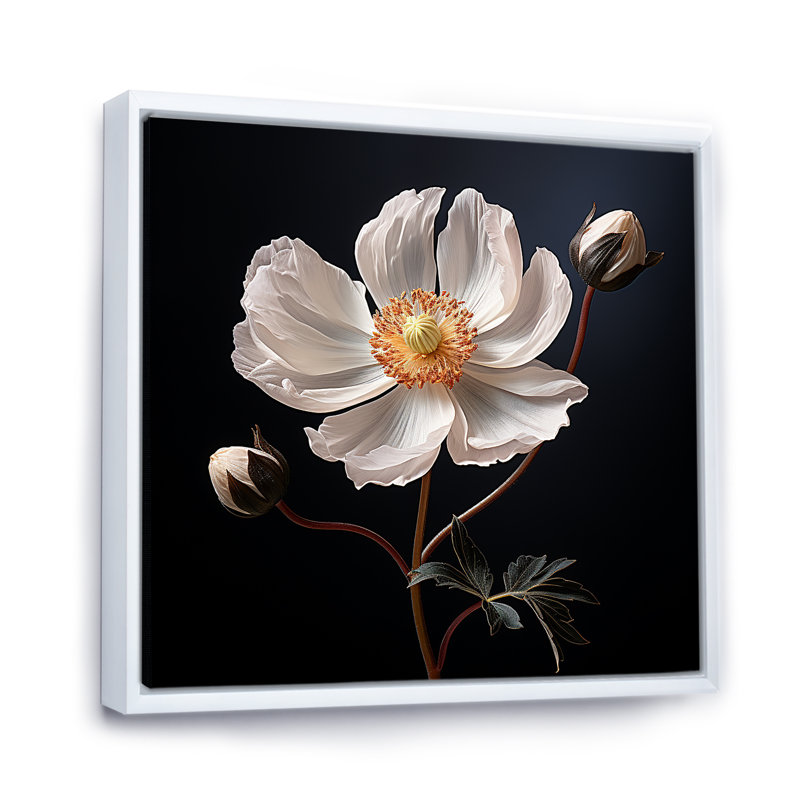 Sunny Ranunculus Dreams I sur toile, Cadre flottant blanc, H 24 po x l 24 po x P 1 po