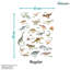 Animals Non-Wall Damaging Wall Decal-95712000
