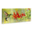 "Quick Sip Hummingbird", art mural par Christine Reichow-2132888962