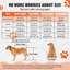 Fauteuil roulant pliable pour chien-115316608