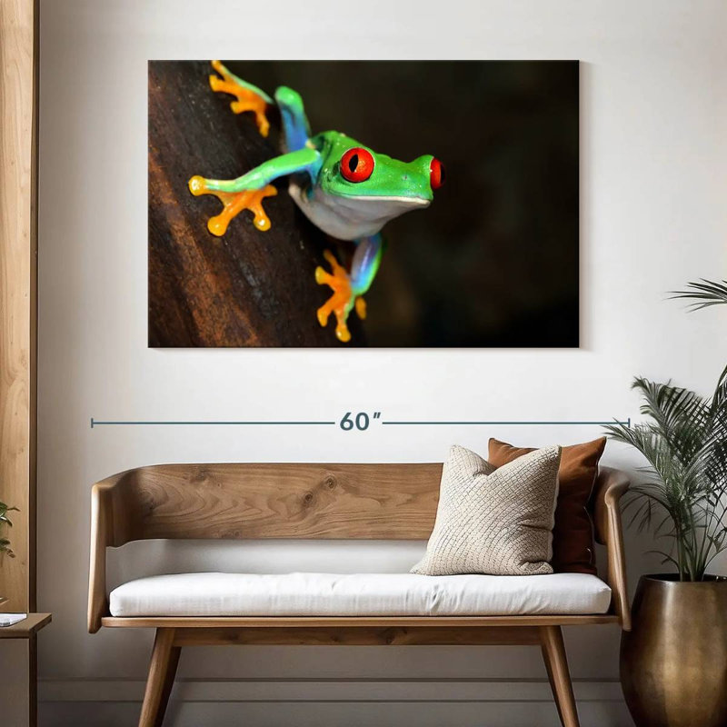 Brampt Tiny Red-Eyed Tree Frog, 32" H x 48" W