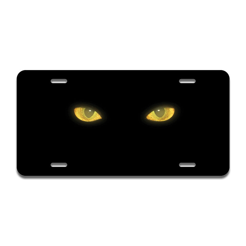 Cadre en aluminium avec yeux de chat