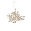Lunaria 6 - Light Chandelier
