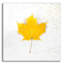 «Autumn Colors II» par Sue Schlabach-80695074