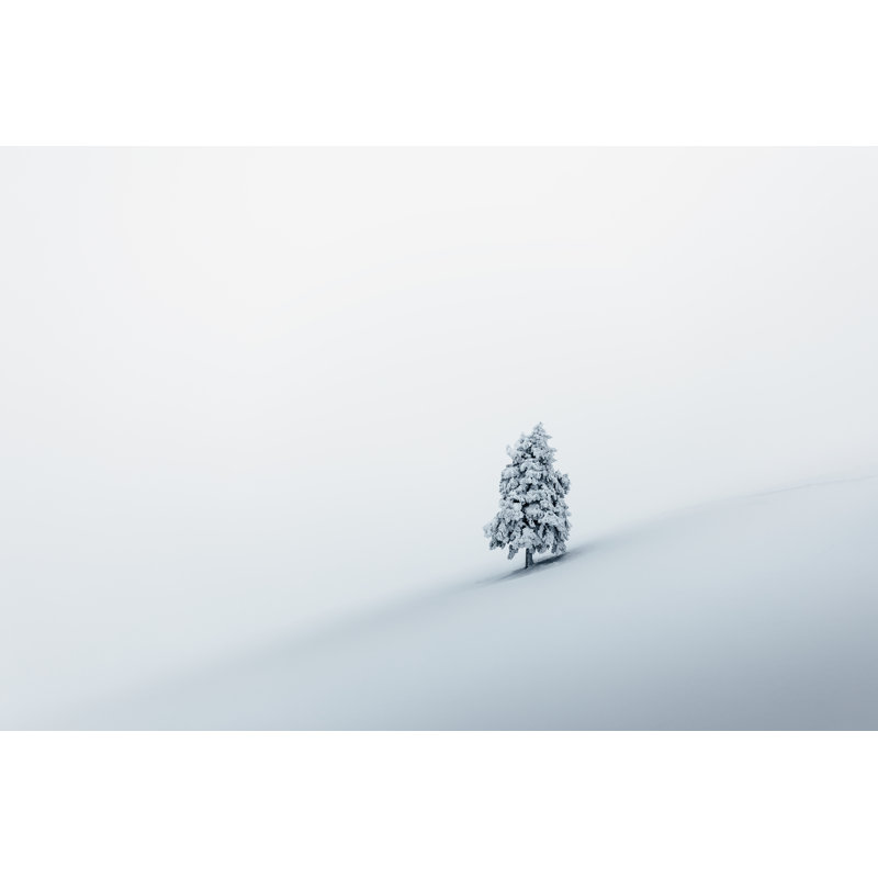 Lone Tree In Snow by Borchee - No Frame Print on Canvas, 51cm H x 76cm W