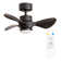 Cayleeann 24cm Ceiling Fan with LED Lights