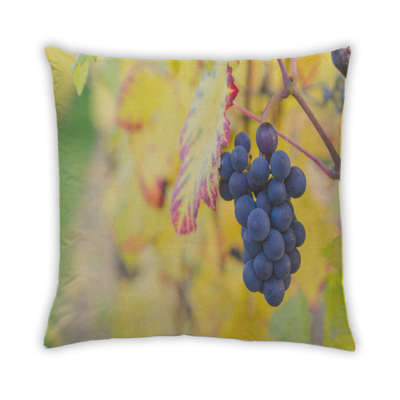 Coussin Foods Fruits, Synthétique