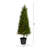 3.5ft. Cypress Artificial Tree with 350 LED Lights UV Resistant (Indoor/Outdoor)