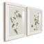 Impression encadrée Wispy Botanical I-Premium - prêt à être accroché-1613726460-1613726210