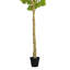 Figuier artificiel 10 pi en pot noir