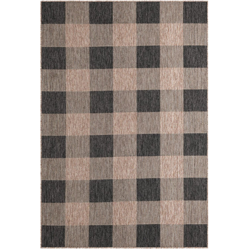Tapis intérieur / extérieur Borrego , Rectangle 6 pi 1 po x 9 pi