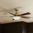 52'' Ceiling Fan with LED Lights-1614424767