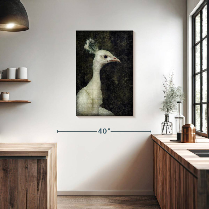 Brampt White Peacock, 36" H x 24" W